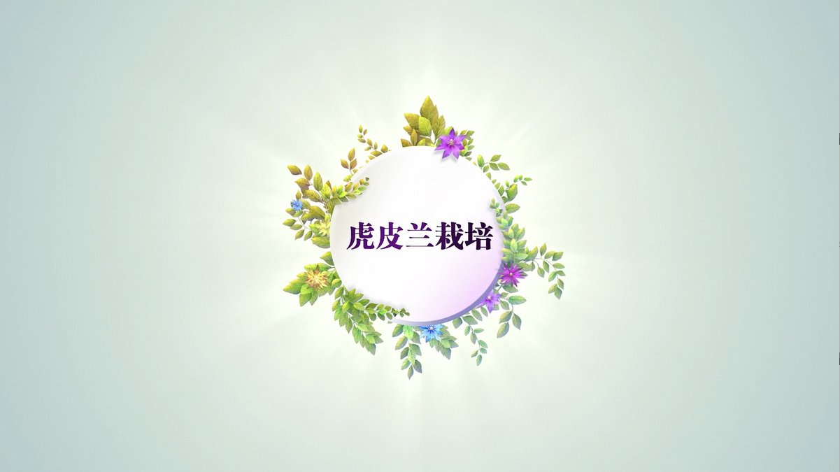 天津市津南区海河英亚体育y6园同心路